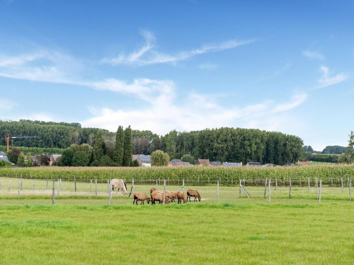 Stunning Holiday Home In Oombergen With Terrace And Garden Zottegem Eksteriør bilde